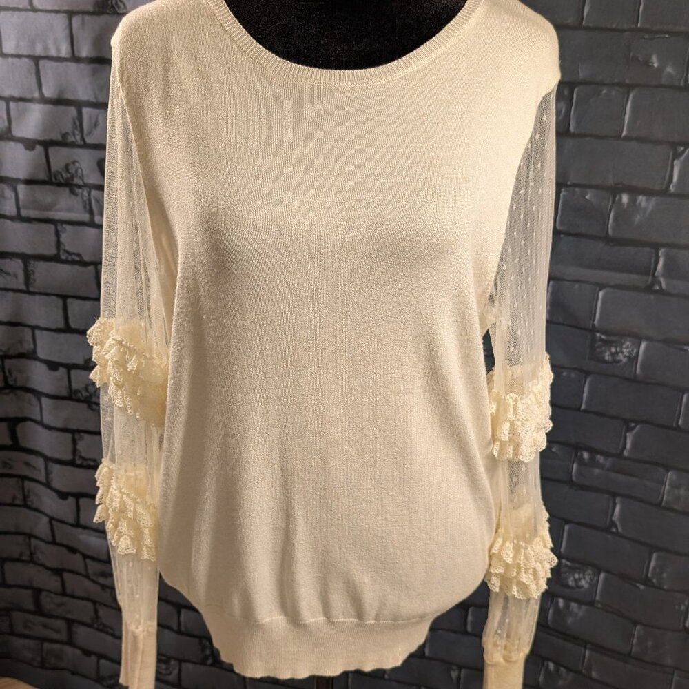 Express Sweater Top with Sheer Lace Sleeves